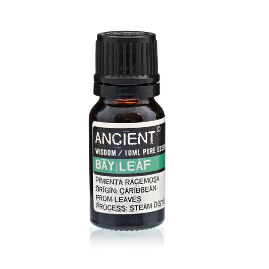 Bay Leaf Pure Essential Oil